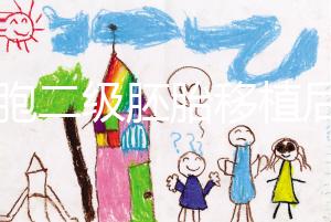 9細胞二級胚胎移植后8天沒感覺，成功率依然很高