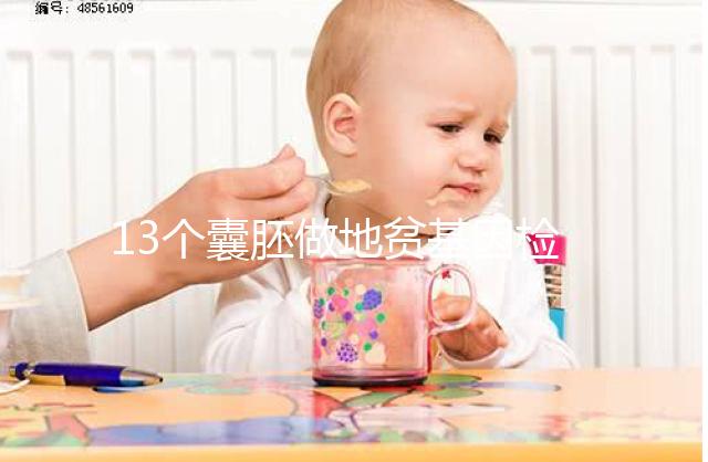 13個囊胚做地貧基因檢測幾率多少分析，附能篩幾個答案