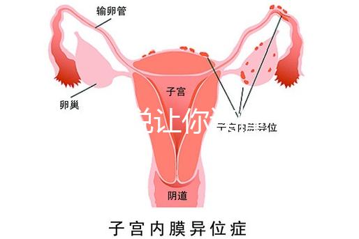 1分鐘解說讓你讀懂，排卵試紙白板一根線等各個(gè)反應(yīng)