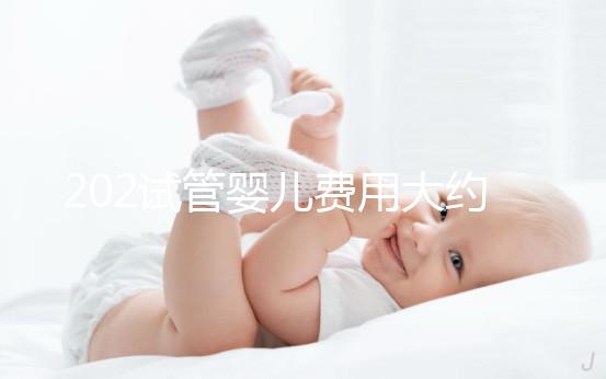 202試管嬰兒費用大約多少(202試管嬰兒費用大約多少錢)