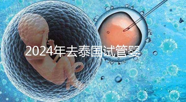 2024年去泰國試管嬰兒是老年再生育的唯一途徑！