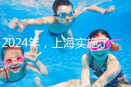 2024年,上海實(shí)施了新的生育保險(xiǎn)政策,單獨(dú)生兩個(gè)孩子也可以享受待遇