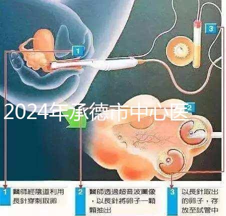 2024年承德市中心醫院試管嬰兒費用明細表，二次移植費用較大