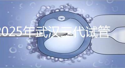 2025年武漢三代試管助孕比較新價格：8萬至15萬，費用明細(xì)公開！