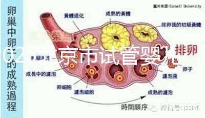 2025北京市試管嬰兒醫(yī)院大全,去這幾家做無需提供結(jié)婚證