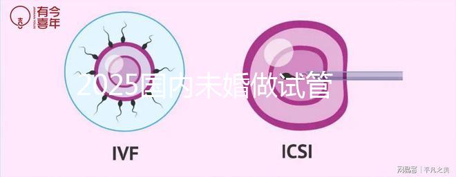 2025國內未婚做試管嬰兒的機構都是哪些?