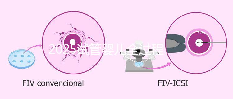 2025試管嬰兒全過程一共七個(gè)階段是怎么操作和具體時(shí)長(zhǎng)一覽