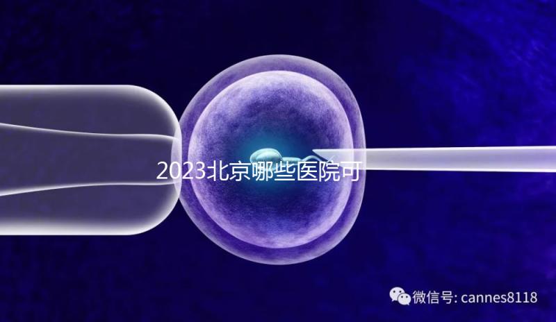 2023北京哪些醫(yī)院可以借卵生子?附北京供卵不排隊(duì)醫(yī)院名單(含排隊(duì)時(shí)長(zhǎng))