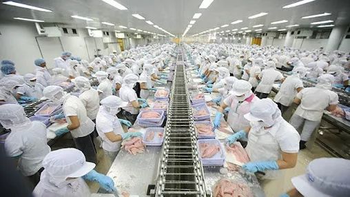 打造世界一流水產品加工中心 越南的崛起之路