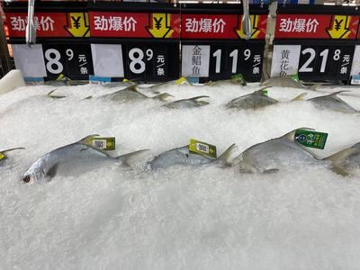 冷鏈產(chǎn)品還能買嗎？記者實(shí)探 有菜場(chǎng)停售進(jìn)口海鮮，部分商超啟用水產(chǎn)品“身份證”